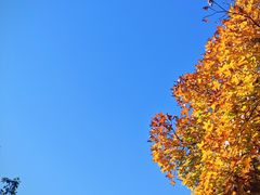 -长白岛森林公园