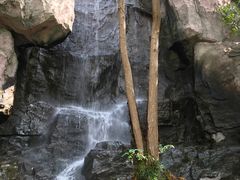 景点-天目湖山水园