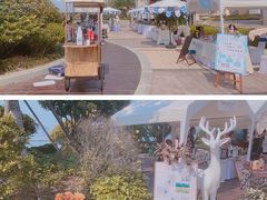 -星光岛