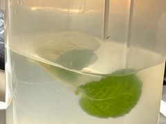 -九鼎轩火锅大排挡