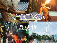 -佛冈森波拉度假区