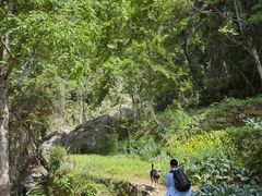 -东南悬空寺方广岩