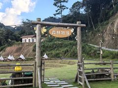 -龙岩森林水乡景区