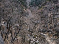 -泰山风景名胜区