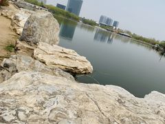 -大兴滨河森林公园