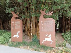 -金沙遗址博物馆
