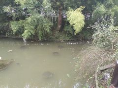 -上海方塔园-何陋轩