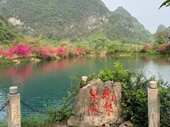 -靖西鹅泉风景区