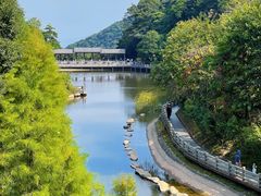 -广州市帽峰山景区