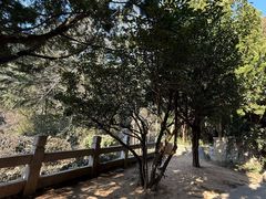 -青岛崂山太清宫