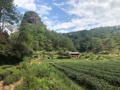 -武夷山风景名胜区-虎啸岩