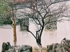 -八大山人梅湖景区
