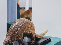 -中国湿地博物馆