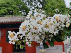 -恭王府博物馆