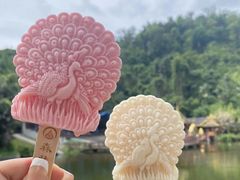 -西双版纳原始森林公园