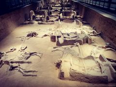 -洛阳周王城天子驾六博物馆