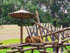 -北京野生动物园