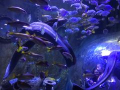 -成都浩海立方海洋公园