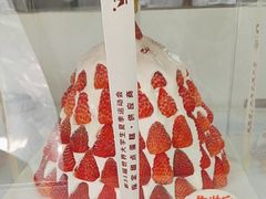 -维尔纳斯·生日蛋糕·动物奶油冰淇淋蛋糕(六里桥店)