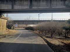 -永定河休闲森林公园