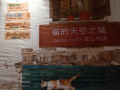 -猫的天空之城概念书店(印象城购物中心店)