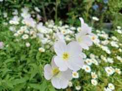 -Oasis Beauty水磨坊科技美肤中心