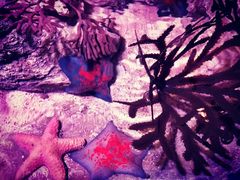 -沈阳海洋探索中心