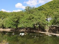 -鹿亭中村