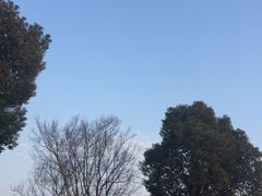 -苏州香山国际大酒店