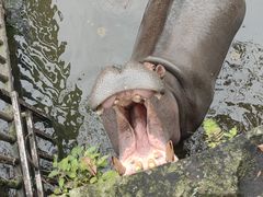 -海南热带野生动植物园