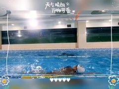-小蓝鲸游泳培训基地(积水潭店)