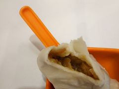 鲜肉小笼-大龙汤包