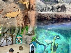 -福州罗源湾海洋世界旅游区