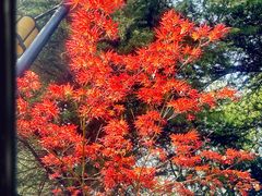 -江南大学(蠡湖校区)