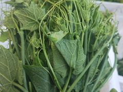 -岳各庄批发市场(西四环中路店)