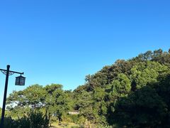 -南京老山国家森林公园