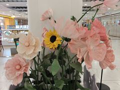 -凯德MALL(望京店)