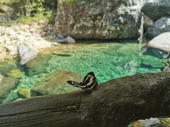 -石台牯牛降景区