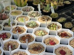 -瑞虹新天地月亮湾