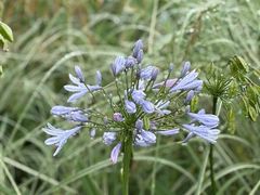 -阳光高尔夫俱乐部