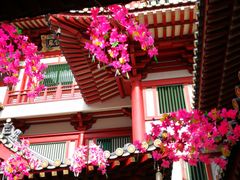 -新加坡佛牙寺龙华院