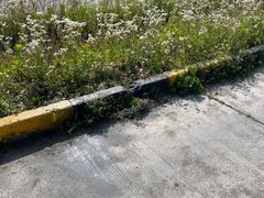 -安飞驰驾校·学车连锁(金高店)