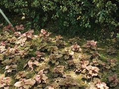 -常州古运河南大街文化旅游区-人民公园