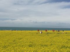 -青海湖国家重点风景名胜区