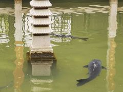 -杭州植物园