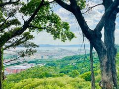 -青礁慈济宫