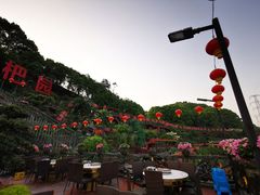 -枇杷园食为鲜火锅(南山店)
