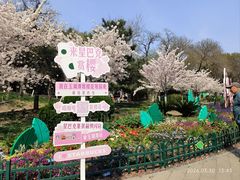 -正阳门饭庄·烤鸭·北京菜(万丰路七里庄店)