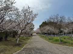 -上海海湾国家森林公园
