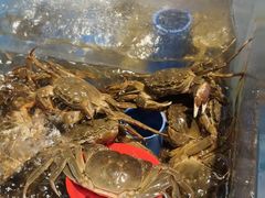 -焰江山海鲜牛排烤肉自助(锦华万达二星店)